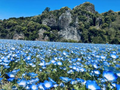 大分県中津市　地域おこし協力隊募集 | 地域のトピックス