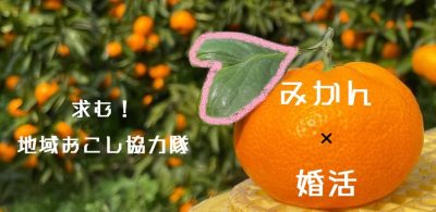 【八幡浜市】地域おこし協力隊募集 | 地域のトピックス