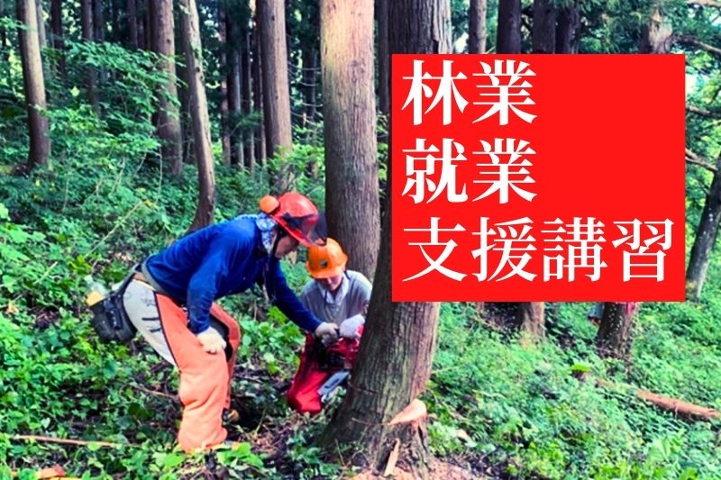 林業就業支援講習 山・森・林・木と共に信州の森林で働こう! | 移住関連イベント情報