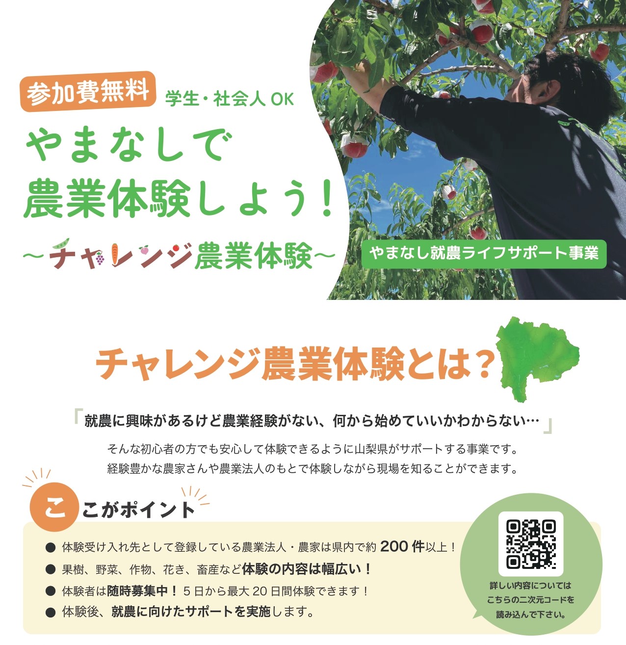 やまなしチャレンジ農業体験 | 地域のトピックス