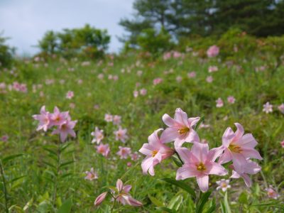 【喜多方市】地域おこし協力隊（熱塩加納地域担当）を募集しています！ | 地域のトピックス