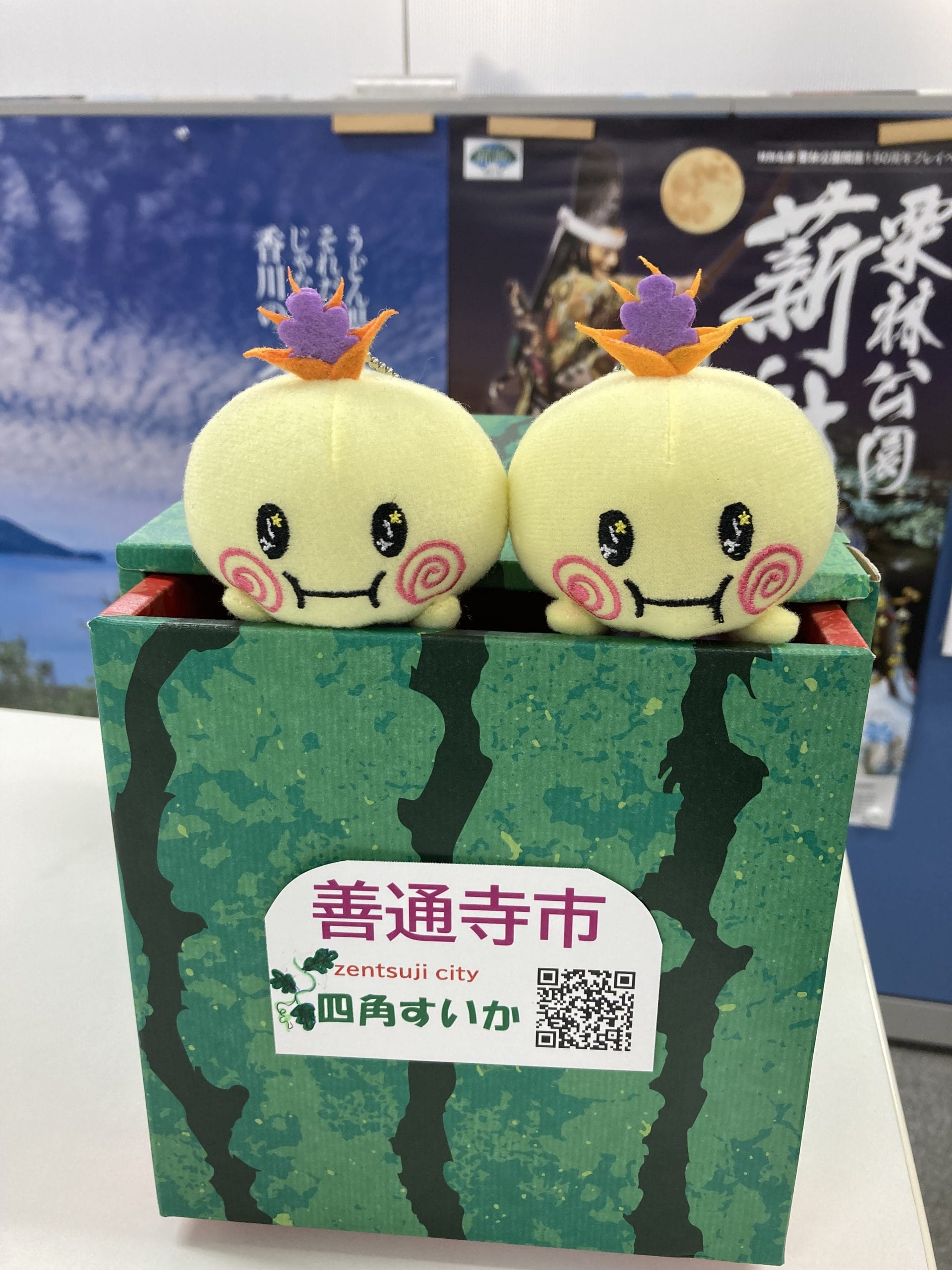 香川県の四角いスイカ ｜地域のトピックス｜FURUSATO