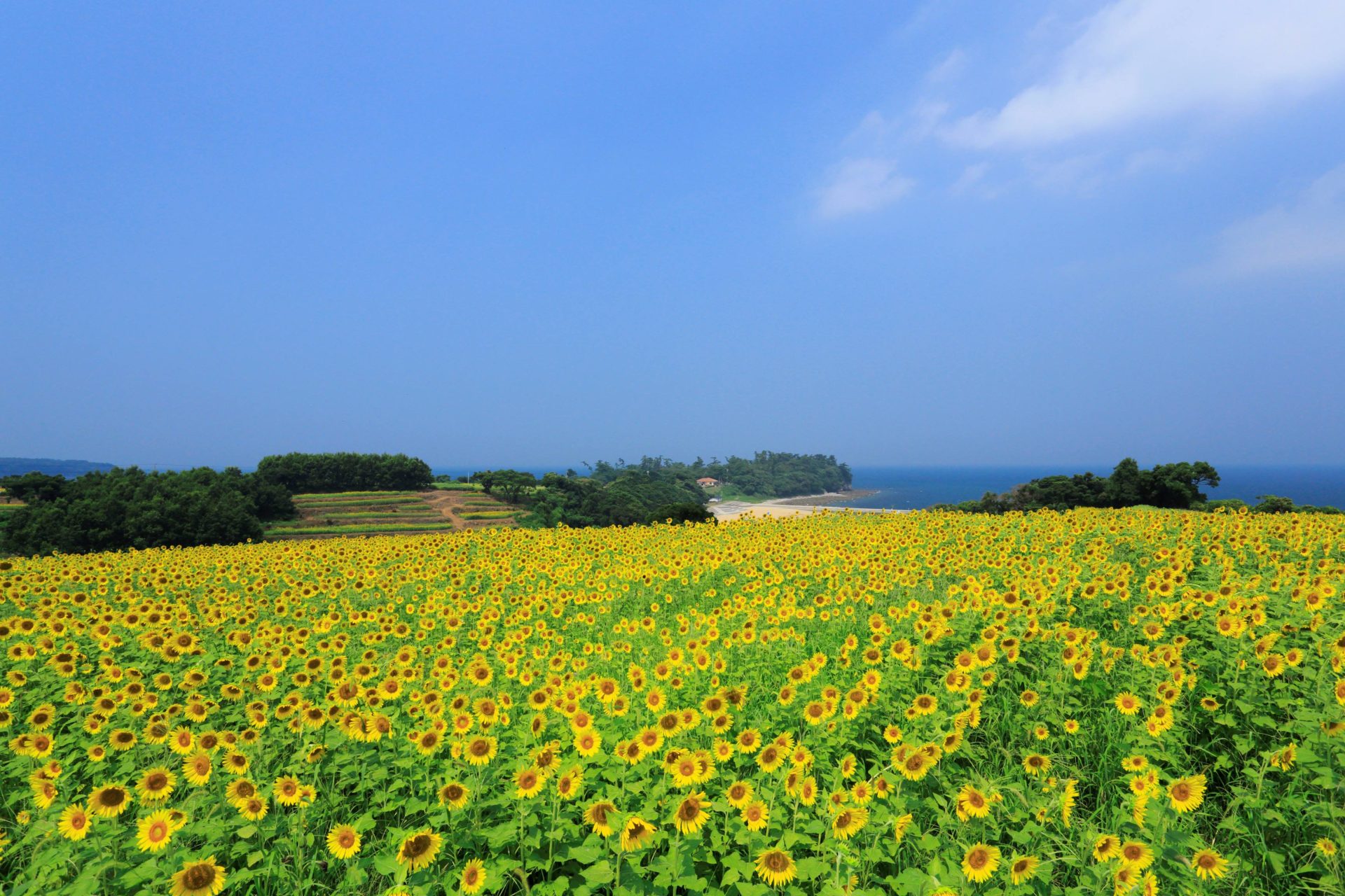 おんせん県おおいた 豊後高田市の移住体験会 | 移住関連イベント情報
