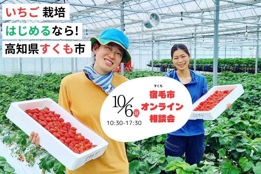いちご栽培を始めるなら宿毛市がベスト!安心して始められる環境が整っています | 移住関連イベント情報