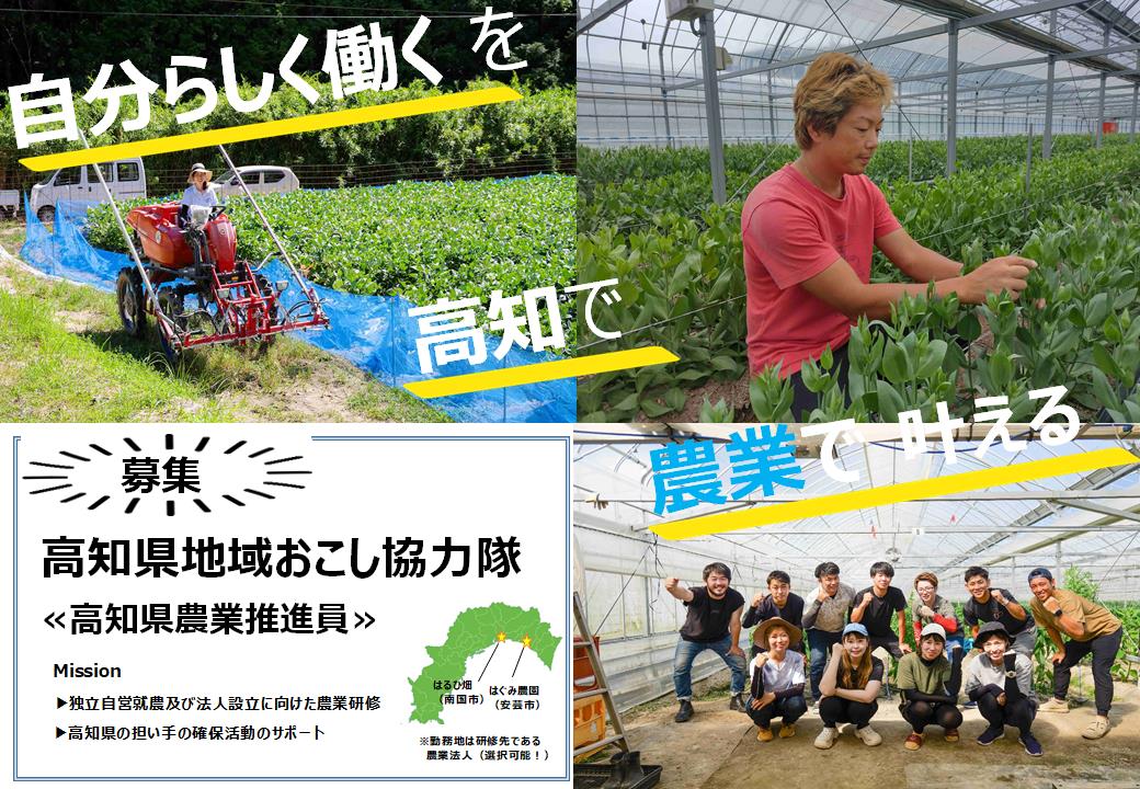 【高知県採用】≪高知県農業推進員を募集!!≫ミッションは独立に向けた農業研修と高知県の担い手確保活動のサポート! | 地域のトピックス