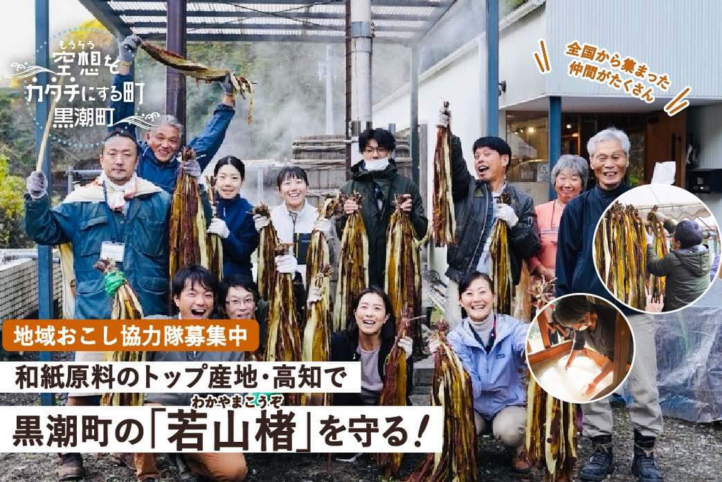 【黒潮町】和紙原料のトップ産地・高知県黒潮町のブランド楮「若山楮」 地域おこし協力隊インターン参加者募集! | 地域のトピックス