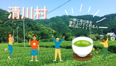 【＜継続募集＞清川村・地域おこし協力隊 】お茶づくりをしたい方を探しています！ぜひ清川茶を一緒に盛り上げてください！ | 地域のトピックス