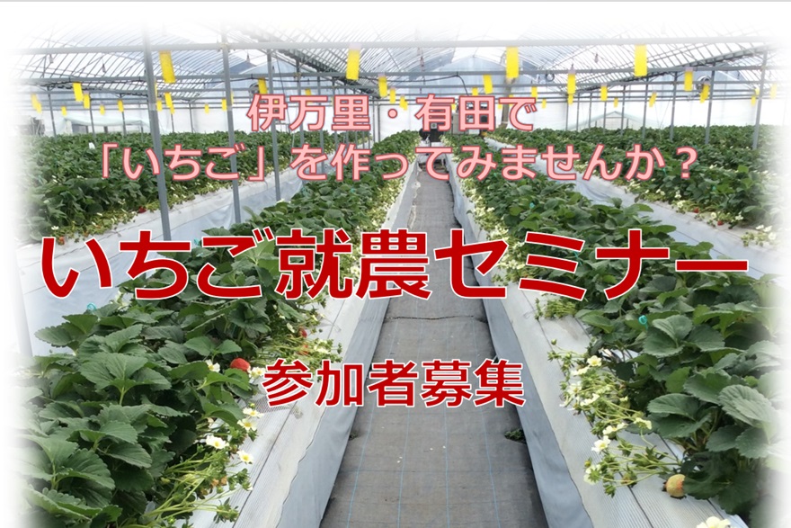 【佐賀県】伊万里・有田で「いちご」を作ってみませんか? | 移住関連イベント情報
