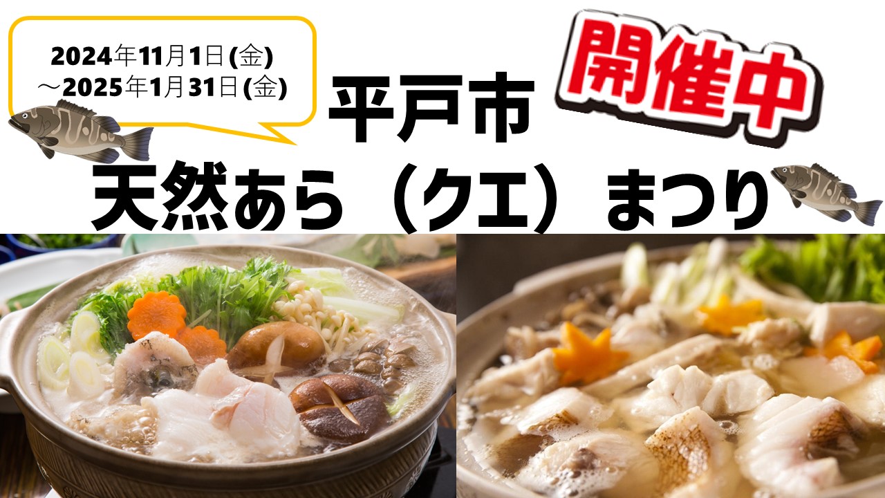 【釣りの聖地・平戸市】平戸天然あら(クエ)まつり開催中!! | 地域のトピックス