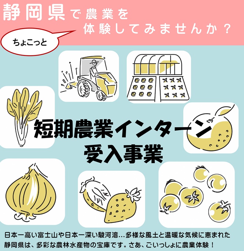 静岡県で農業を体験してみませんか?短期農業インターン受入事業研修生募集中! | 移住関連イベント情報