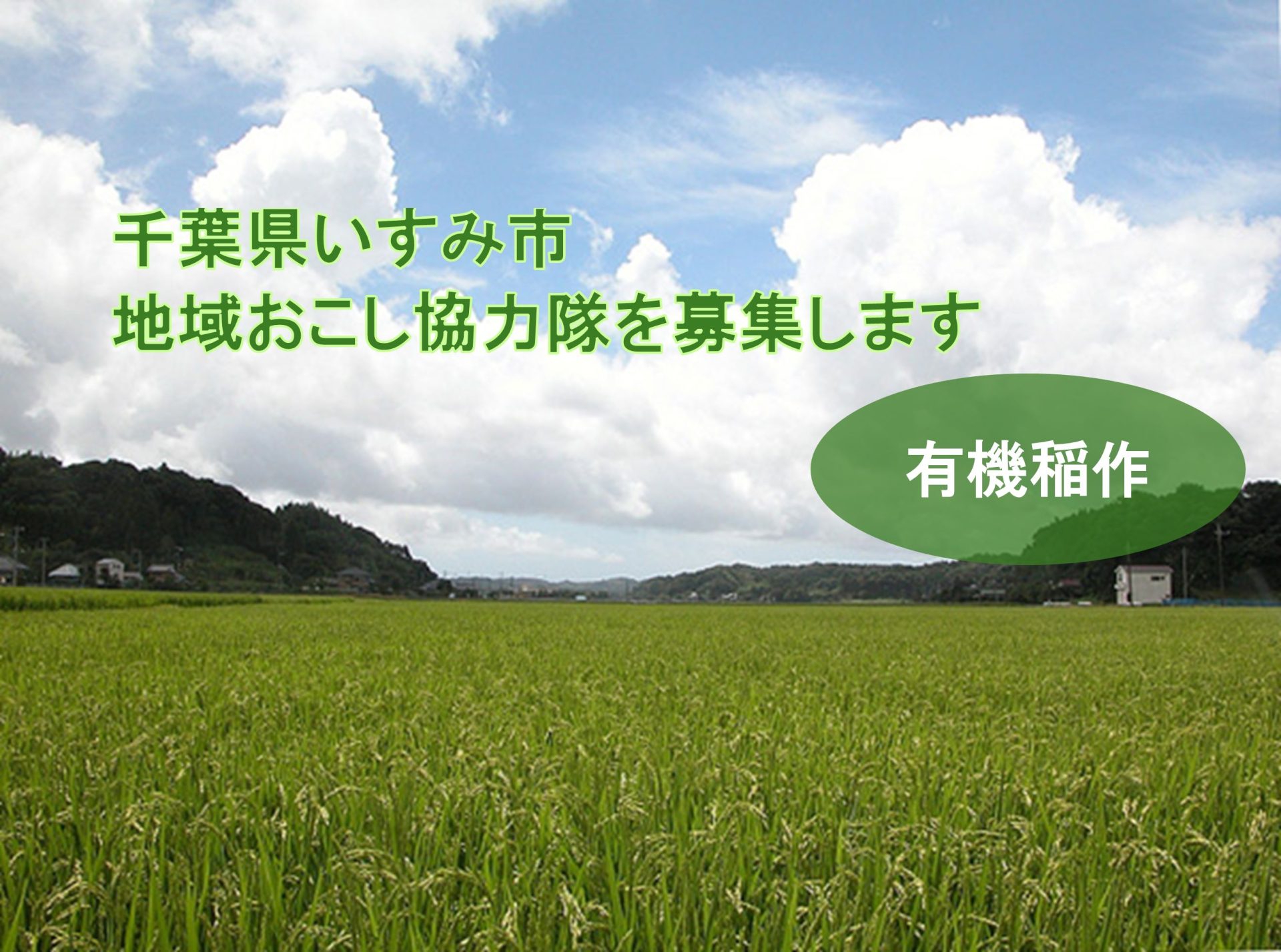 【いすみ市】地域おこし協力隊を募集します!(有機稲作) | 地域のトピックス
