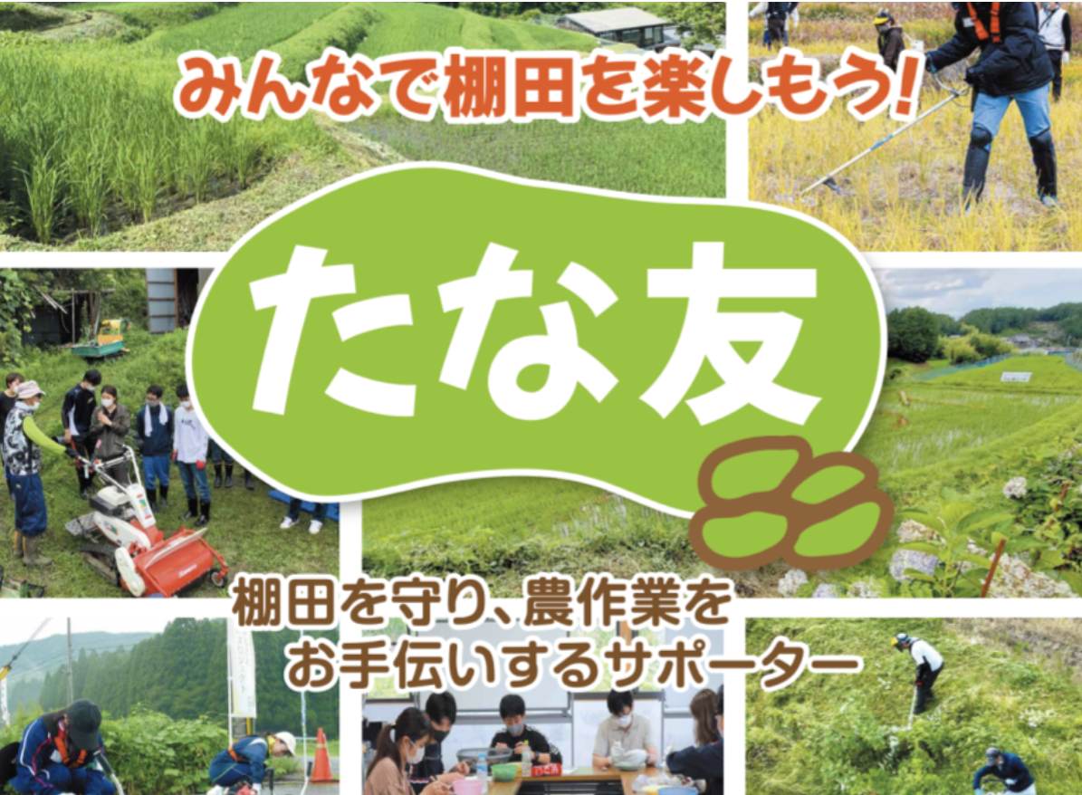 たな友募集中!~棚田を守り、農作業をお手伝いするサポーター~ | 地域のトピックス
