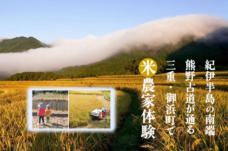 【3.31(月)までの1泊2日】紀伊半島の南端、熊野古道が通る三重県御浜町で“米農家体験”しませんか? | 地域のトピックス