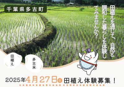 【満員御礼！】＜食の宝庫＞千葉県多古町で田植え体験 | 移住関連イベント情報