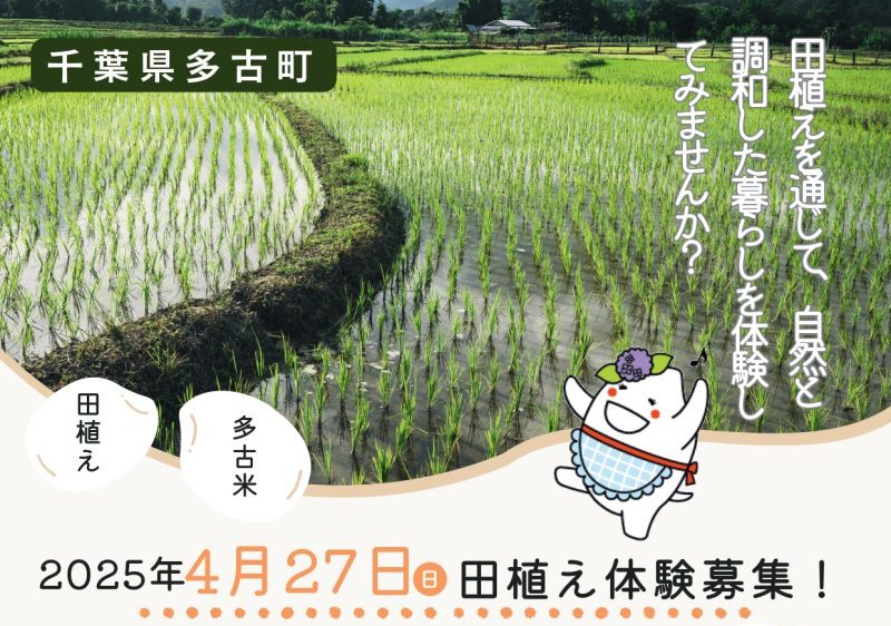 【満員御礼!】<食の宝庫>千葉県多古町で田植え体験 | 移住関連イベント情報