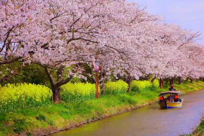 【近江八幡市】空き家問題に挑戦する地域おこし協力隊を募集します！ | 地域のトピックス