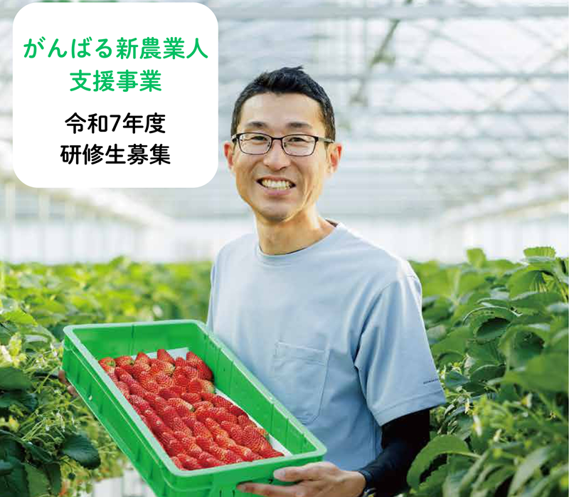 【本気で農業を目指す方へ】静岡県がんばる新農業人支援事業 | 地域のトピックス