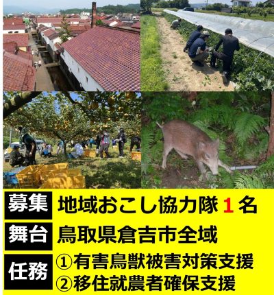 鳥取県倉吉市地域おこし協力隊募集中！ | 地域のトピックス