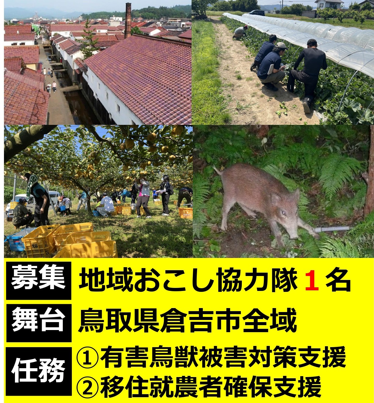 鳥取県倉吉市地域おこし協力隊募集中! | 地域のトピックス