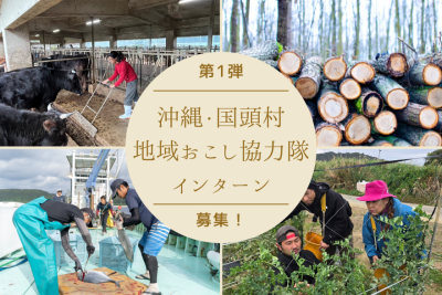 沖縄県・国頭村で地域おこし協力隊インターンを募集します! | 地域のトピックス