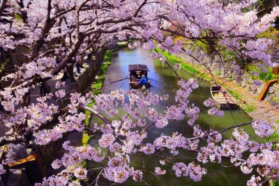 近江八幡市　地域おこし協力隊募集中！ | 地域のトピックス