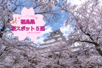 【シーズン到来！】福島県の桜スポット５選 | 地域のトピックス