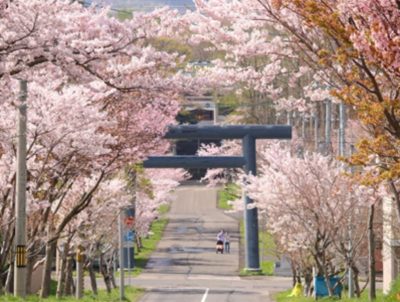 \北海道 岩内町で地域おこし協力隊を7名募集/ | 地域のトピックス