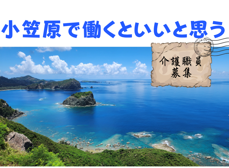 【東京都】船で片道24時間🚢！世界自然遺産の小笠原諸島で働いてみませんか？ | 地域のトピックス