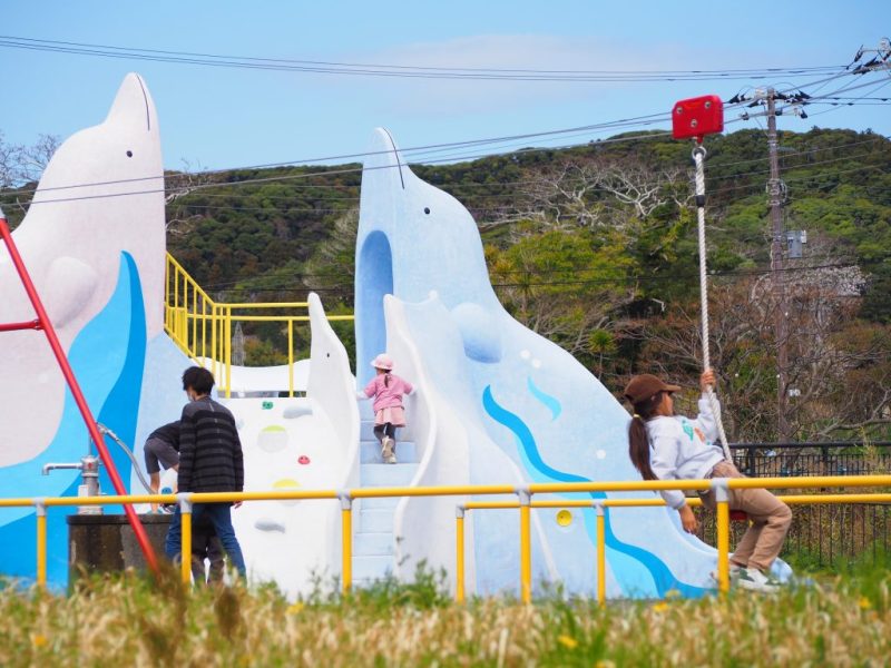 【南房総市】新たな憩いの場♪「なみはらくじらパーク」がオープン! | 地域のトピックス