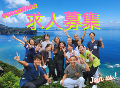 世界自然遺産の小笠原村で求人募集中‼ | 地域のトピックス
