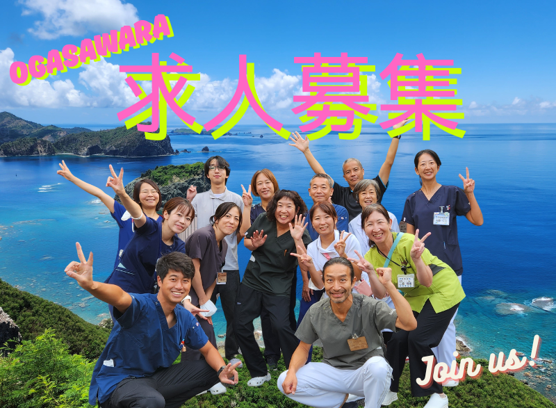 締め切り迫る!世界自然遺産の小笠原諸島!求人募集中‼ | 地域のトピックス