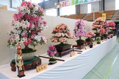 ▽花巻市「花と緑のまつり２０２５」のお知らせ▽ | 地域のトピックス