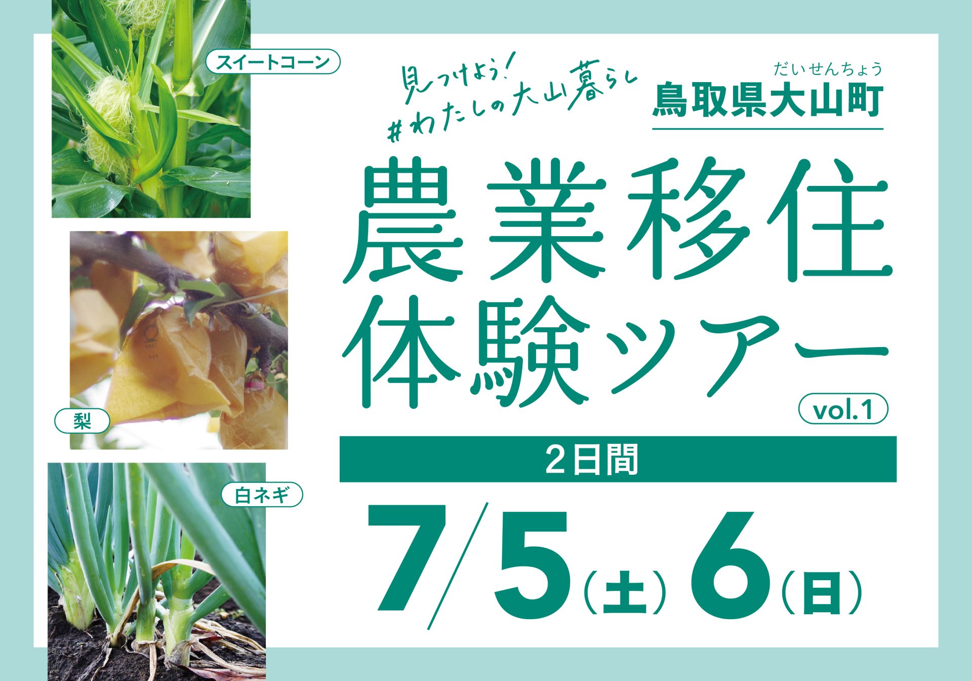 【鳥取県大山町(だいせんちょう】農業・移住体験してみませんか?~♪現役農家さんの畑で農作業を体験♪~ | 地域のトピックス