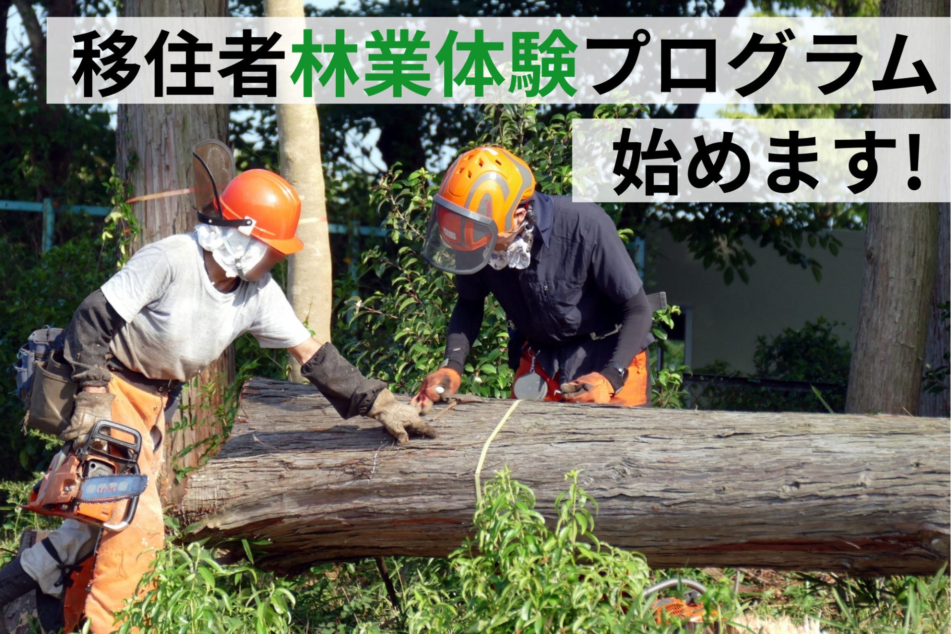 【愛媛県】移住者林業体験プログラムを始めます! | 地域のトピックス