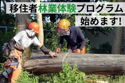 【愛媛県】移住者林業体験プログラムを始めます！ | 地域のトピックス