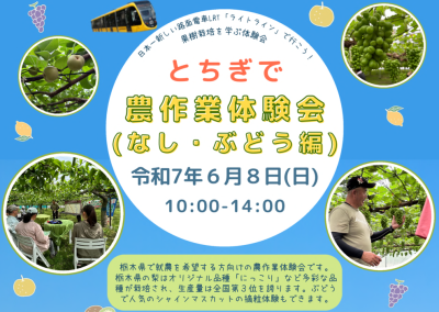 とちぎで農作業体験会（なし・ぶどう編） | 移住関連イベント情報