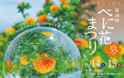 市制施行55周年 第28回桶川べに花まつり | 地域のトピックス
