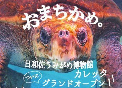 【ウミガメと共生する町】世界でここだけ？ウミガメの博物館がリニューアルオープン | 地域のトピックス
