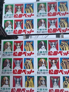 予告【新潟県】にいがた暮らしセミナー開催！インスタグラマーから学ぶローカルの魅力発信術 | 移住関連イベント情報