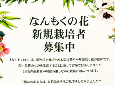 【募集中】なんもくの花　新規栽培者（随時・6/17現地検討会）－群馬県南牧村－ | 地域のトピックス