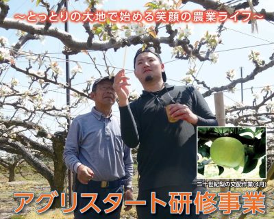 農業研修研修生募集！～鳥取の台地で始める笑顔の農業ライフ～ | 地域のトピックス