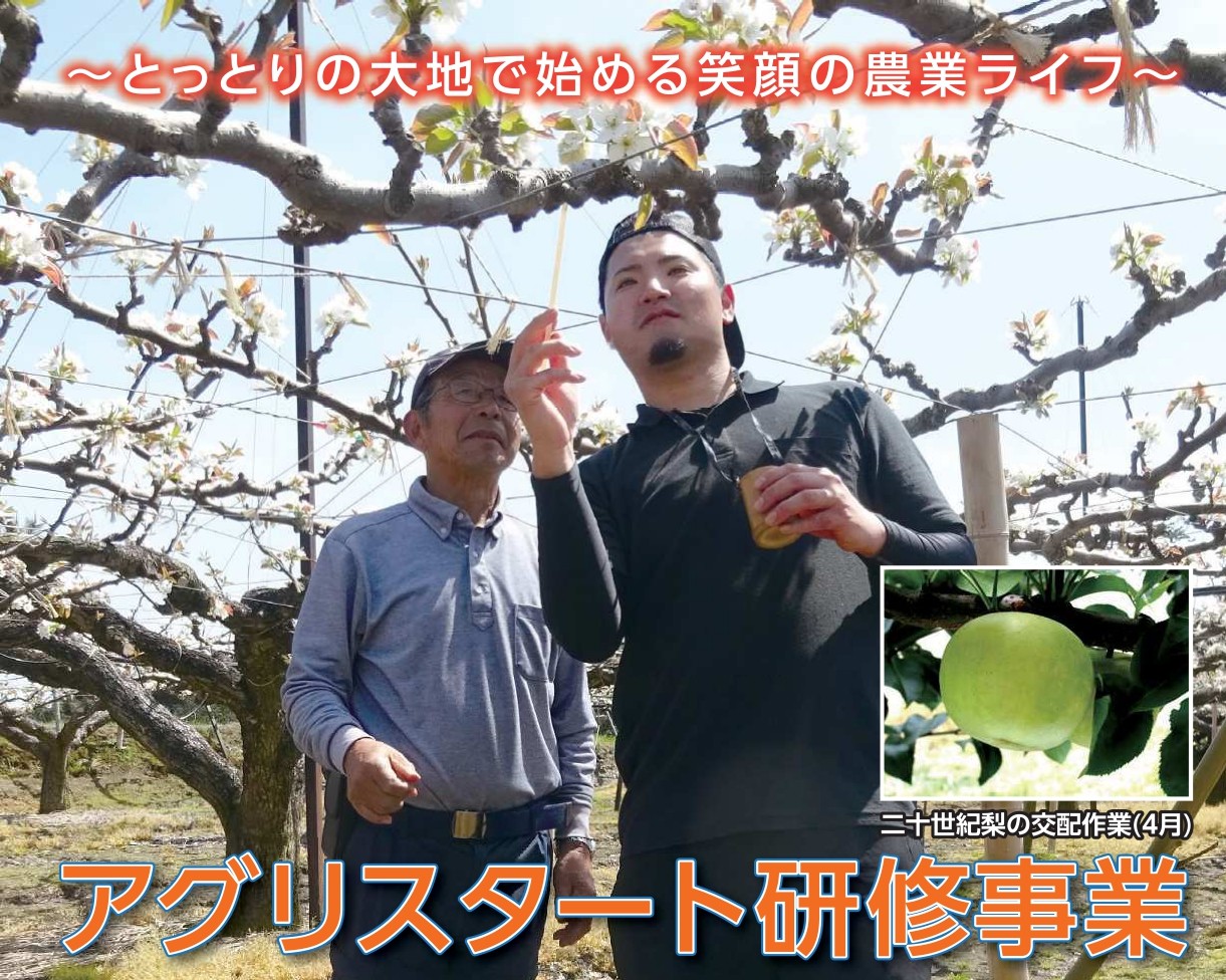 農業研修研修生募集!~鳥取の台地で始める笑顔の農業ライフ~ | 地域のトピックス