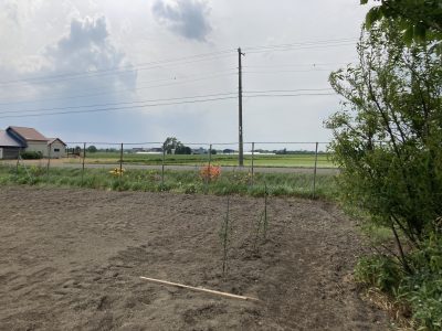 長沼町のゲストハウス「旅人の宿人（たびびとのやんと）」に行ってきました！！ | 地域のトピックス
