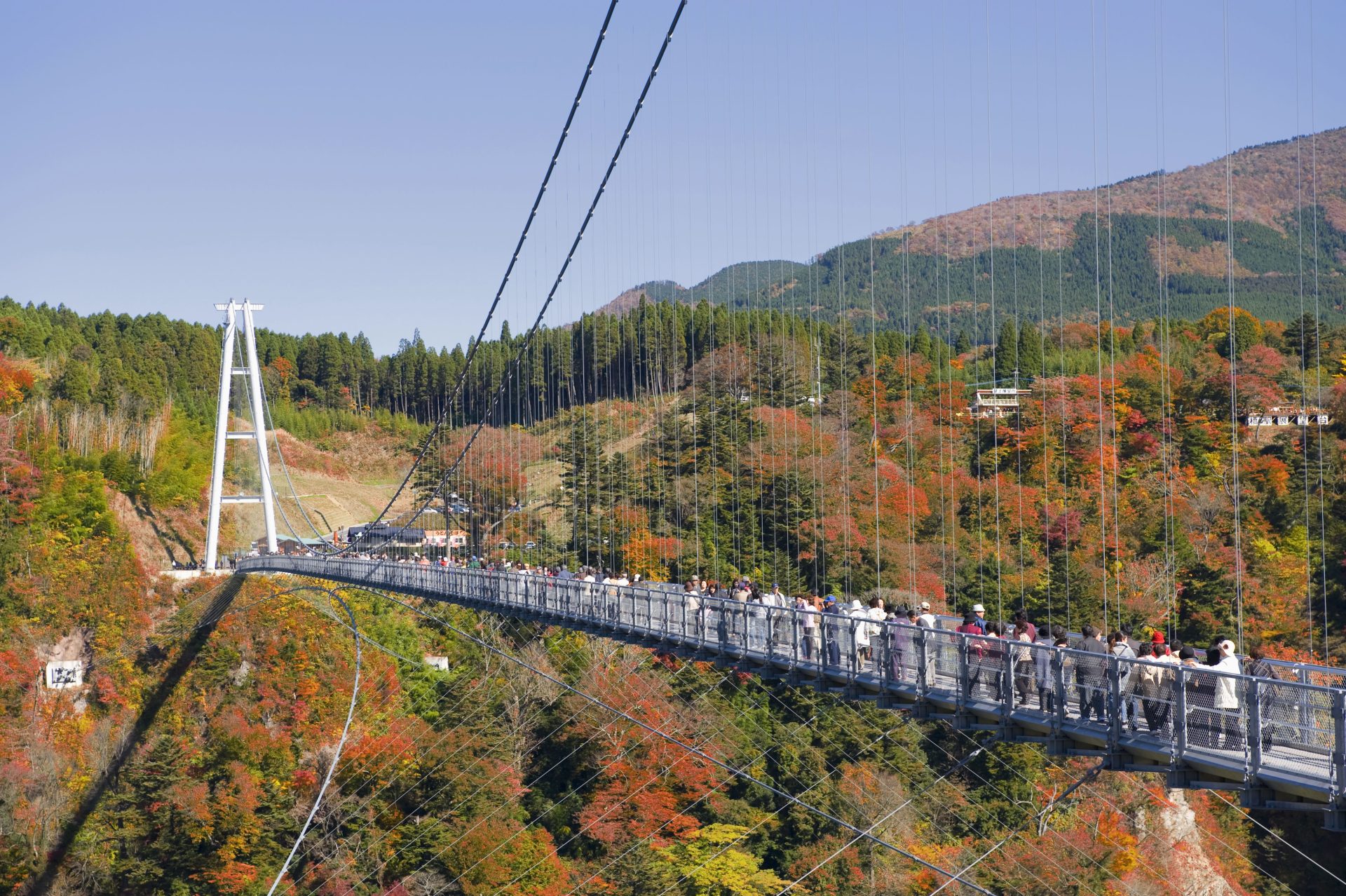 おんせん県おおいた 九重町の地域おこし協力隊募集 | 地域のトピックス