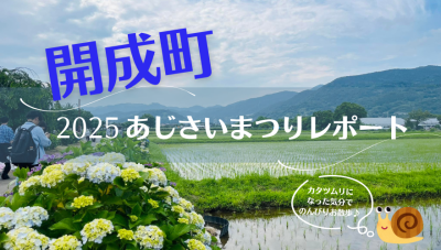 【開成町】あじさいまつり2025レポート。5000株のアジサイと広がる水田をお散歩。移住相談ブースも♪ | 地域のトピックス