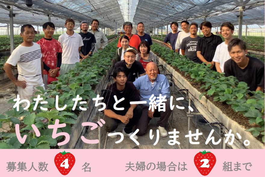 三神いちごトレーニングファーム 研修生募集 | 地域のトピックス