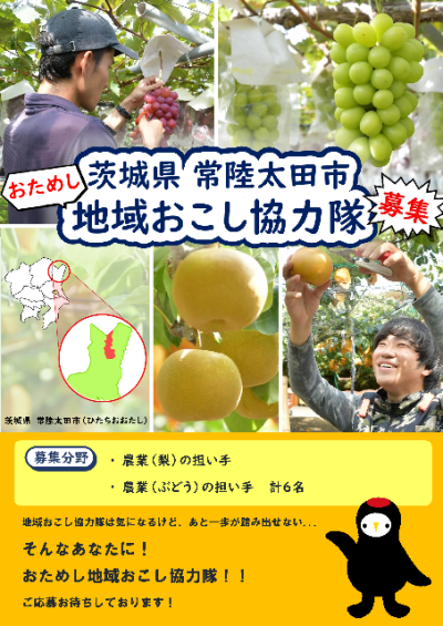 【ぶどう・梨栽培】常陸太田市で協力隊のおためし体験をしてみませんか！ | 地域のトピックス