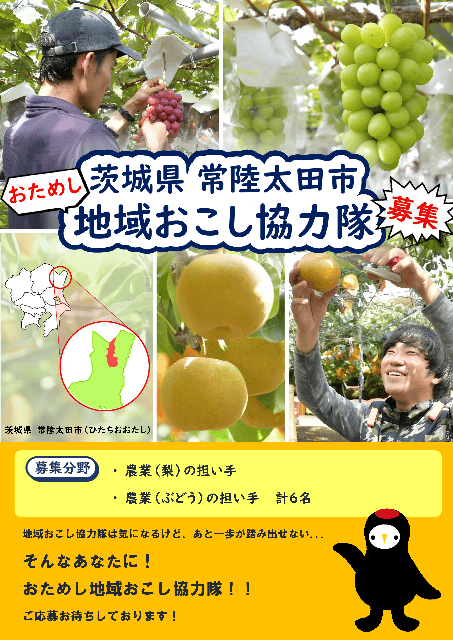 【ぶどう・梨栽培】常陸太田市で協力隊のおためし体験をしてみませんか！ | 地域のトピックス