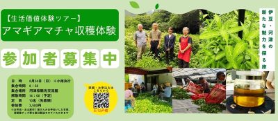 【伊豆・河津町】アマギアマチャ収穫体験ツアー | 移住関連イベント情報