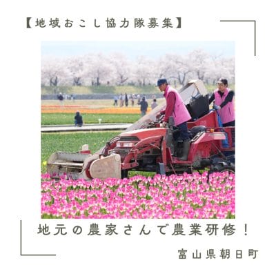 【富山県朝日町】お試し農業体験も大歓迎！人があたたかい富山のまちで一緒に農業を盛り上げませんか？地域おこし協力隊（農業）を募集します！ | 地域のトピックス